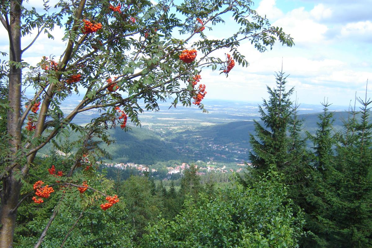 Main Sudetes Trail — Izera Section