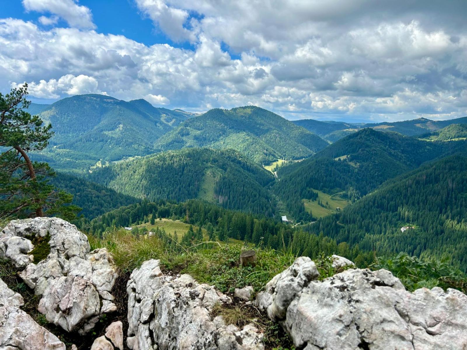 Birkhuhn, Sperlingskauz und Nachbarn: Ein ethischer Naturführer für Isergebirge und Riesengebirge