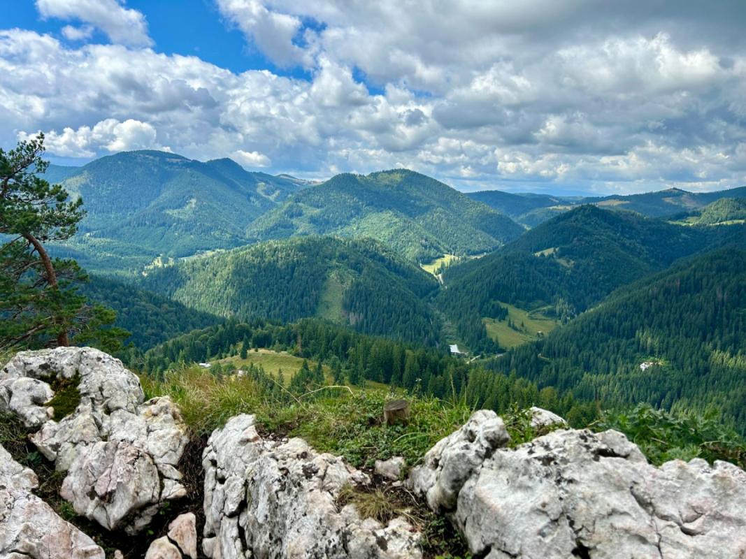 Birkhuhn, Sperlingskauz und Nachbarn: Ein ethischer Naturführer für Isergebirge und Riesengebirge