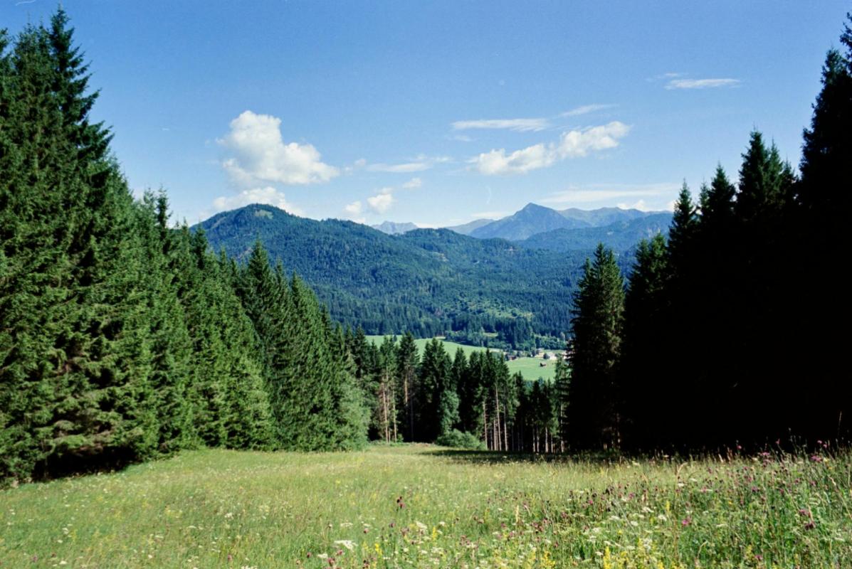 Die Berge lesen: Ein Gelände‑Leitfaden zu Fels, Wasser und Moor zwischen Świeradów‑Zdrój und Szklarska Poręba