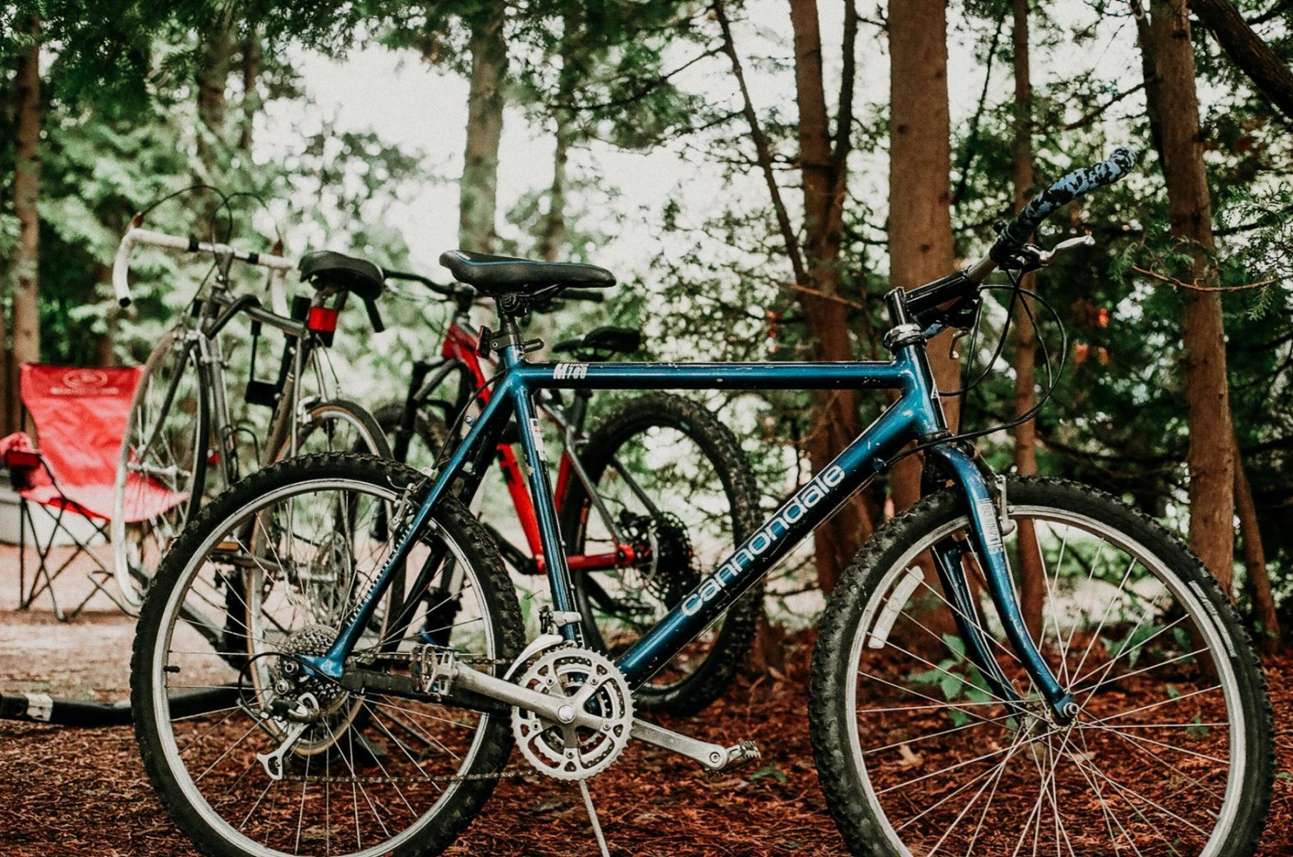 E‑MTB in the Izeras, No Sweat: Świeradów, Smrk and the Bike Park—etiquette, charging, route choice
