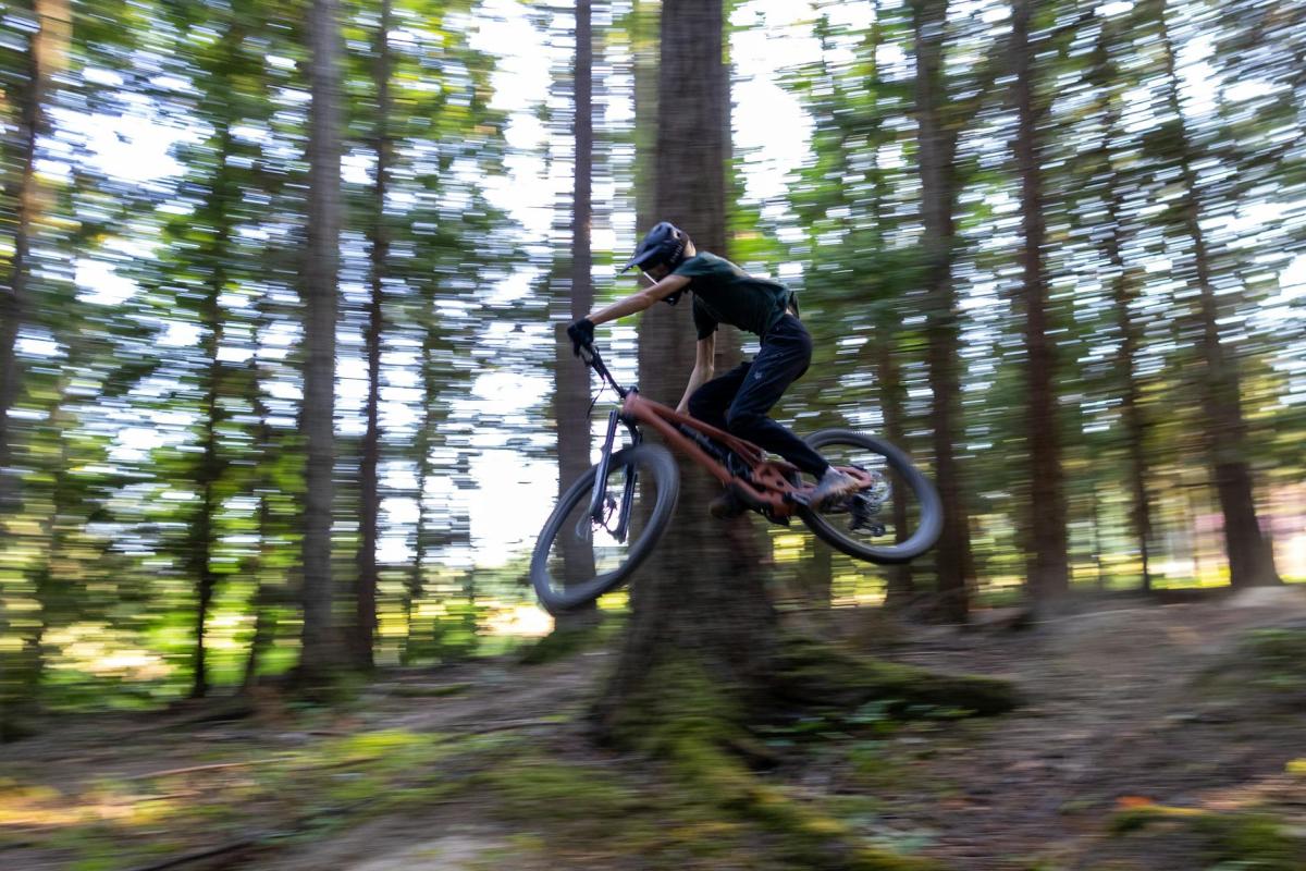 XC or enduro? How to read Izera singletracks (and Czech Jizerské hory) to match your riding style