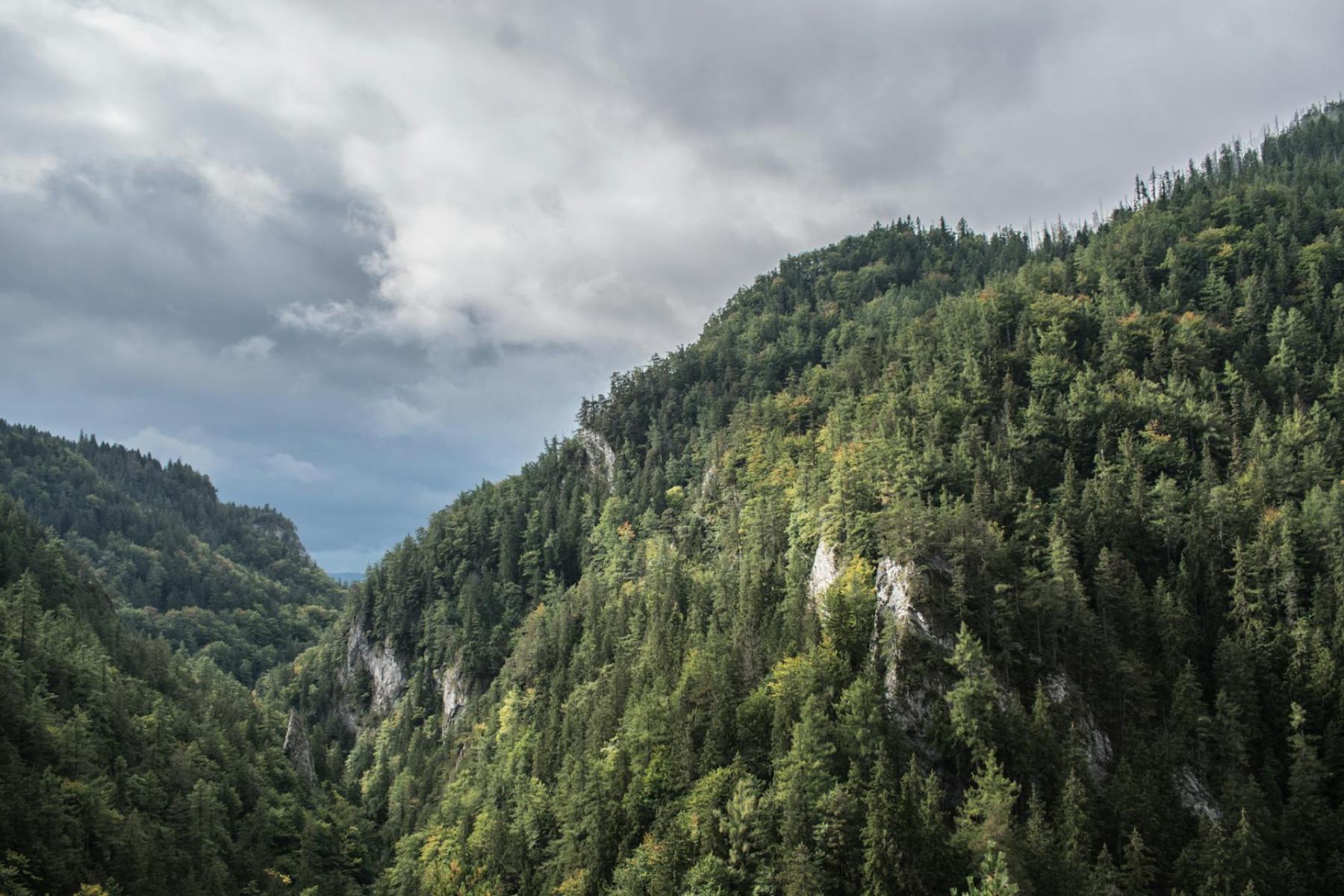 Felsen, Klüfte und Radon: der geologische Stammbaum der Świeradower Wässer
