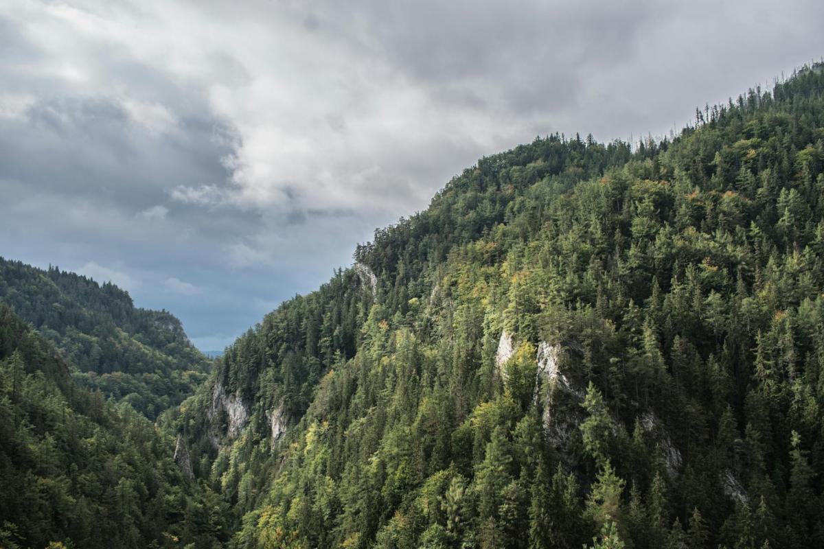 Felsen, Klüfte und Radon: der geologische Stammbaum der Świeradower Wässer