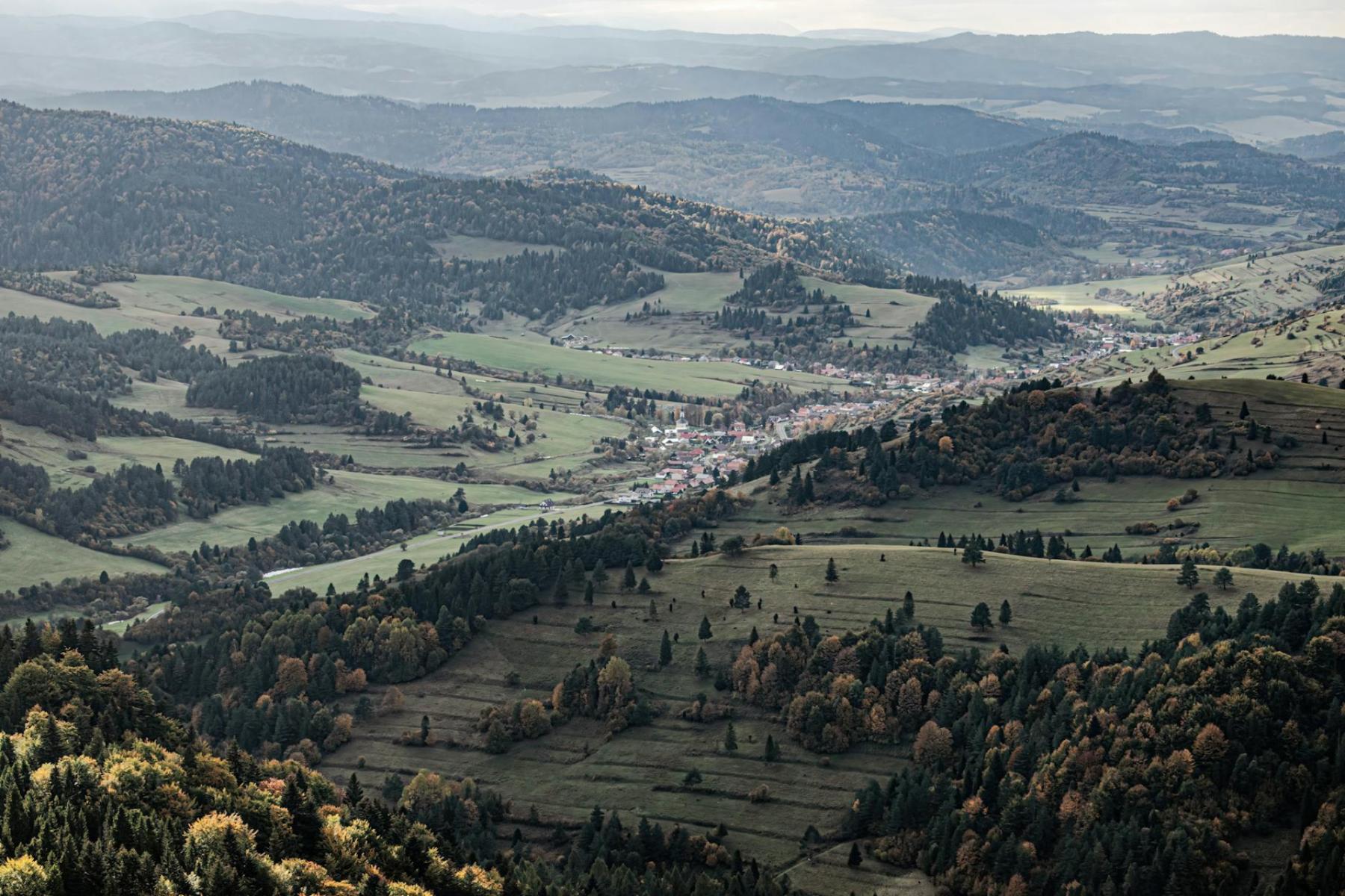 The Living Sponges of the Sudetes: How the Peatlands of the Izera and Karkonosze Work