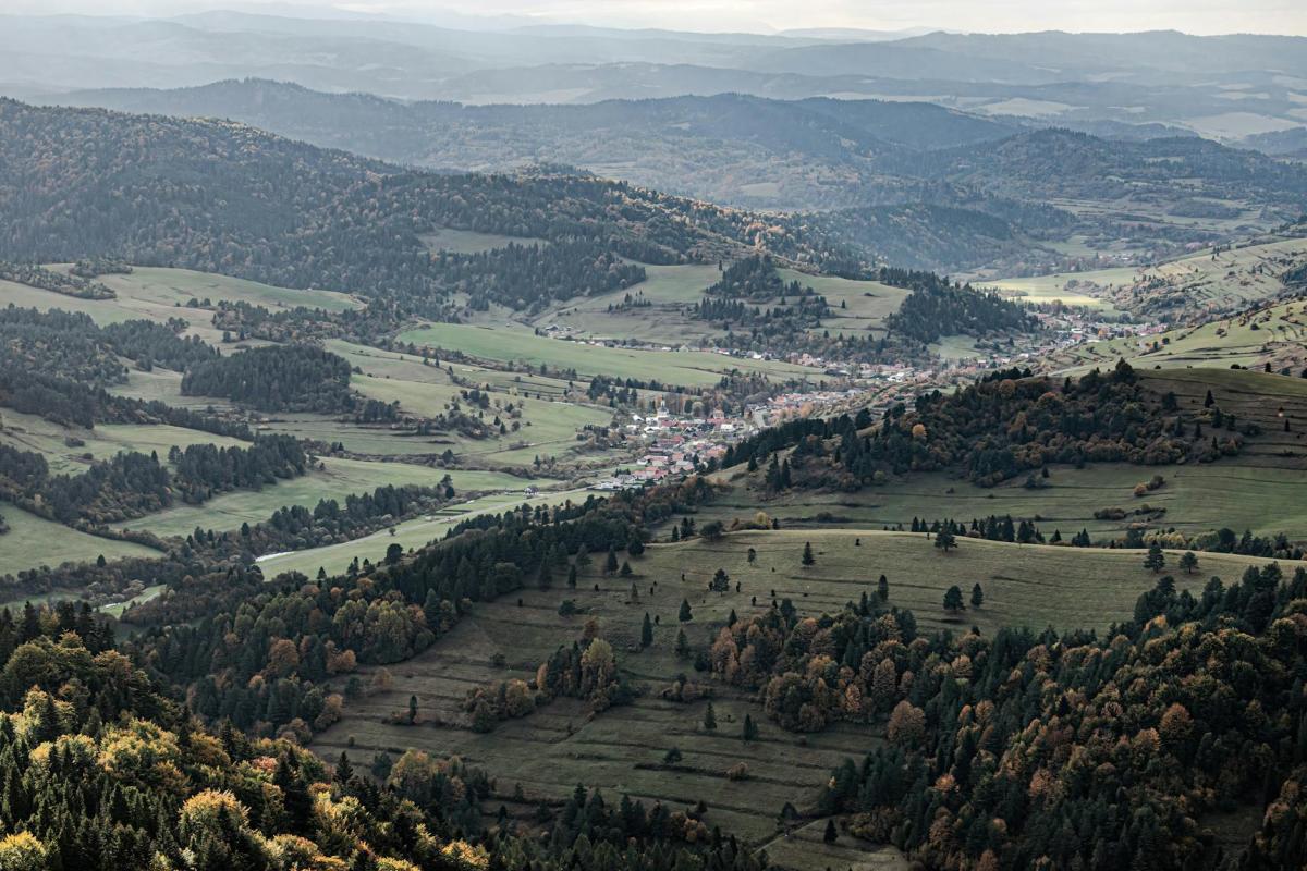 The Living Sponges of the Sudetes: How the Peatlands of the Izera and Karkonosze Work