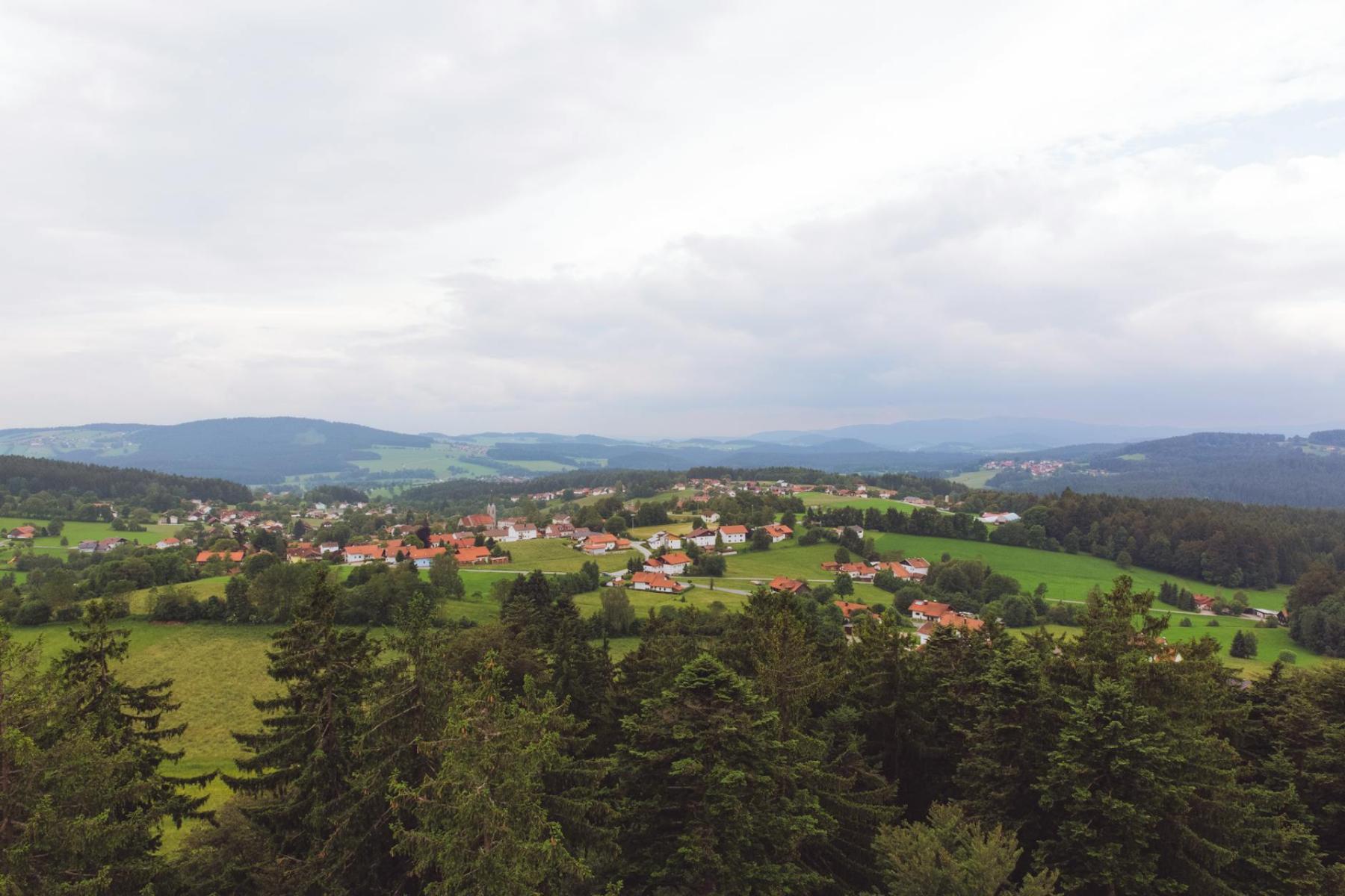 Szklane Sudety: klasyczny szlak szkła ze Świeradowa — Huta Julia, Muzeum Karkonoskie i Jablonec