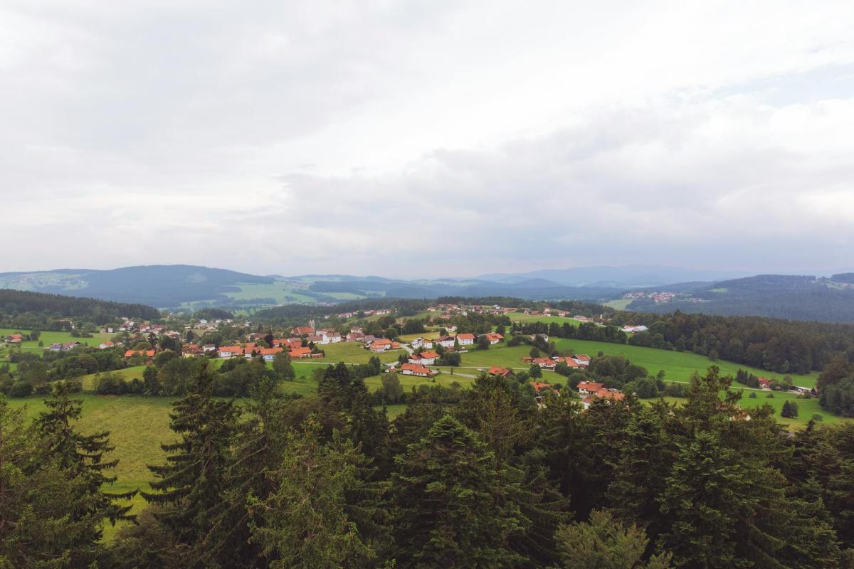 Szklane Sudety: klasyczny szlak szkła ze Świeradowa — Huta Julia, Muzeum Karkonoskie i Jablonec