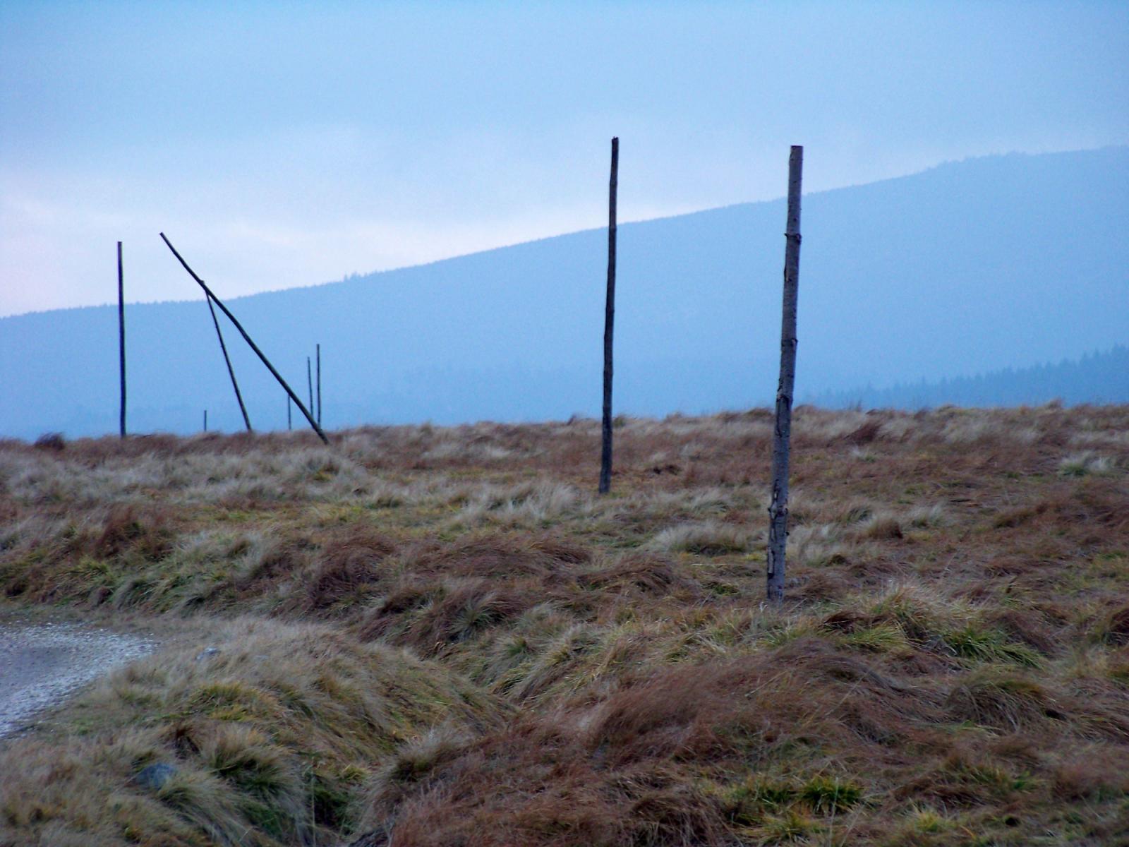 Hala Izerska (Izera Meadow)
