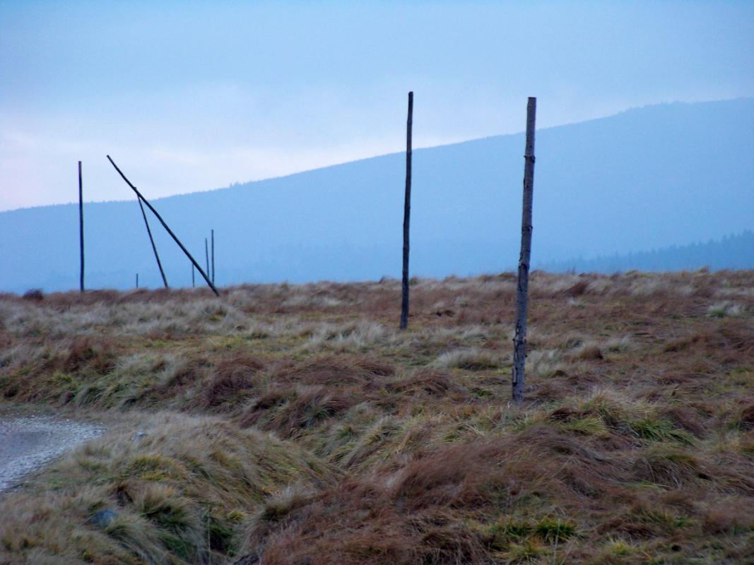 Hala Izerska (Izera Meadow)