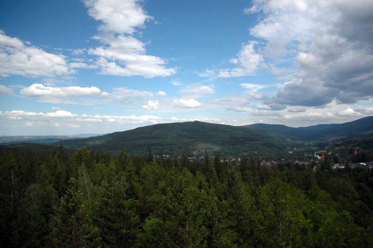Sępia Góra