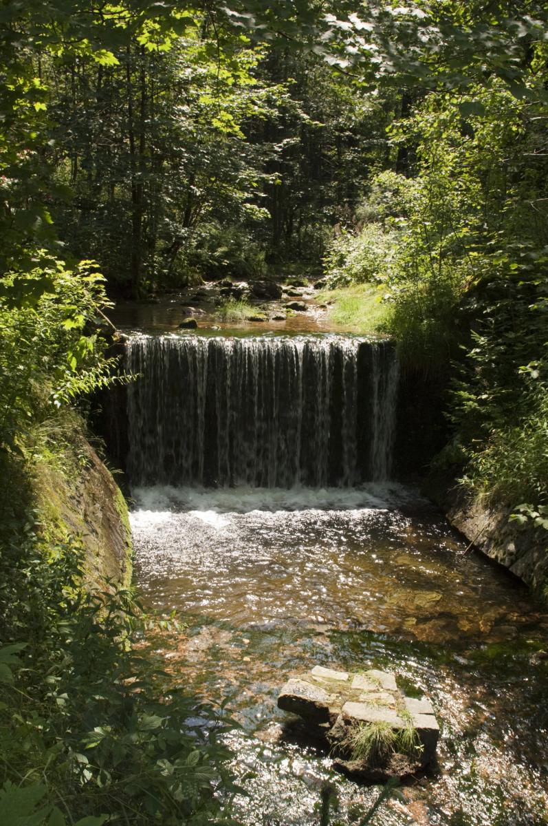 Black Stream Waterfalls