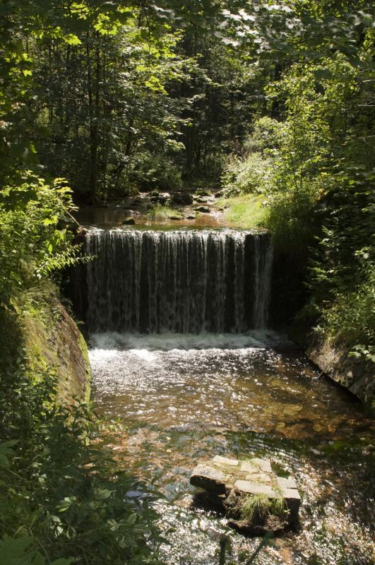 Black Stream Waterfalls