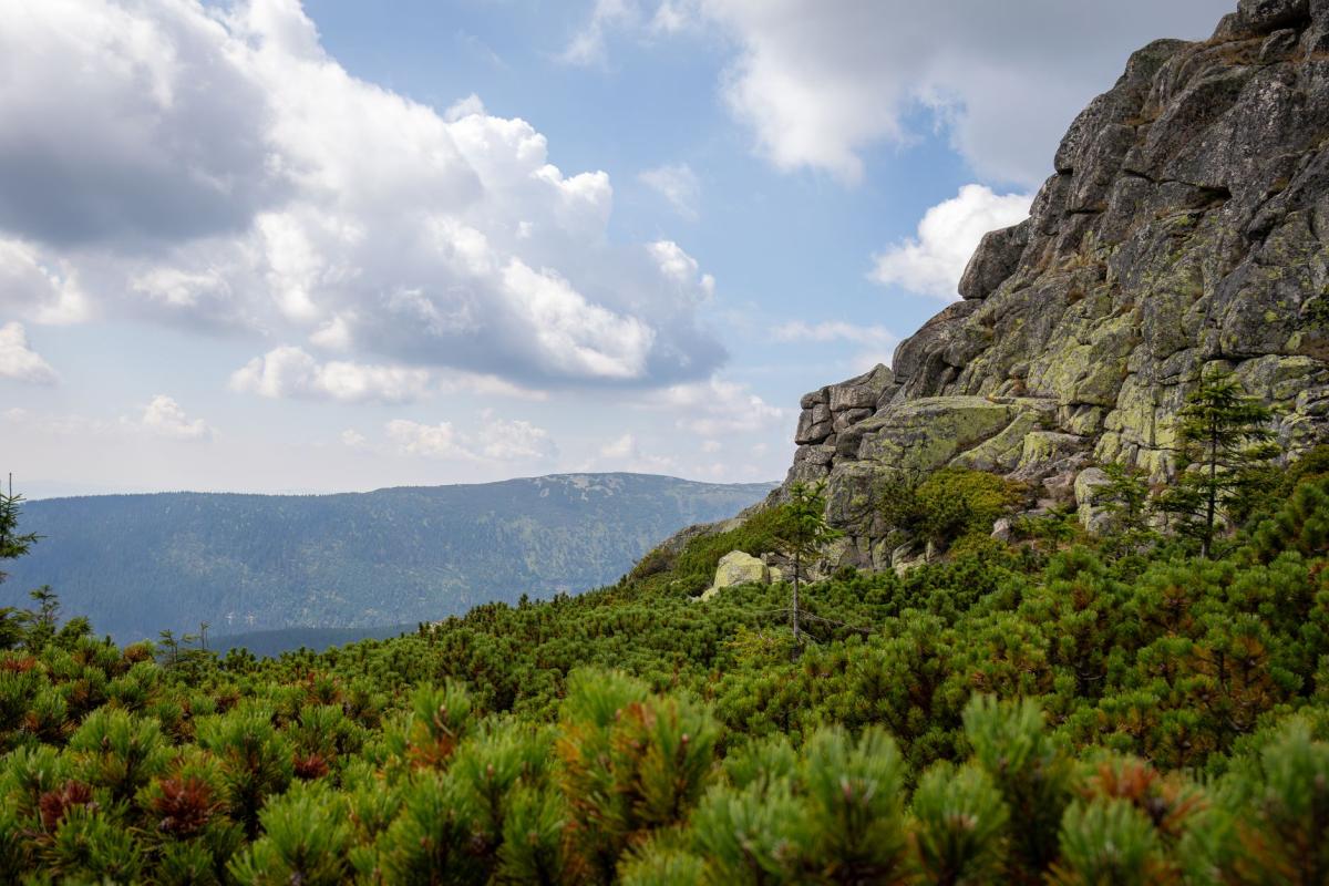 Mirsk Observation Tower