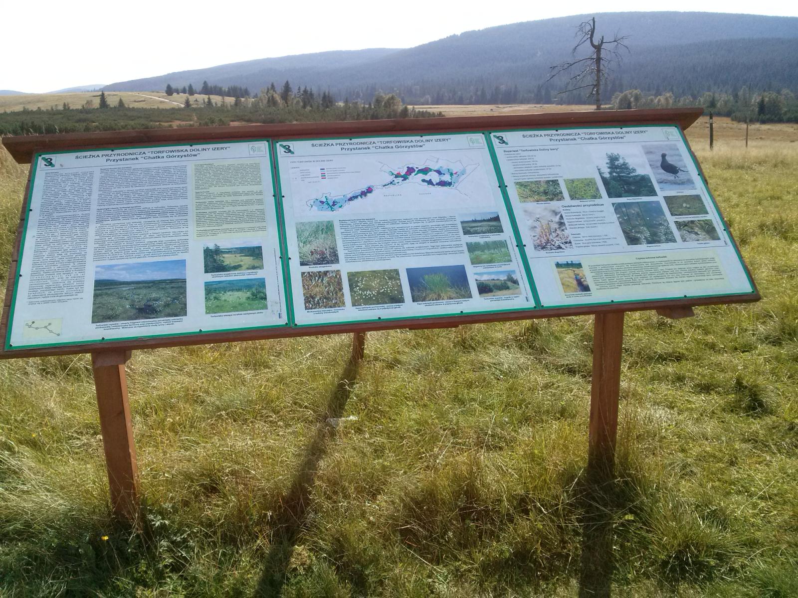Izera Valley Peatbogs Reserve