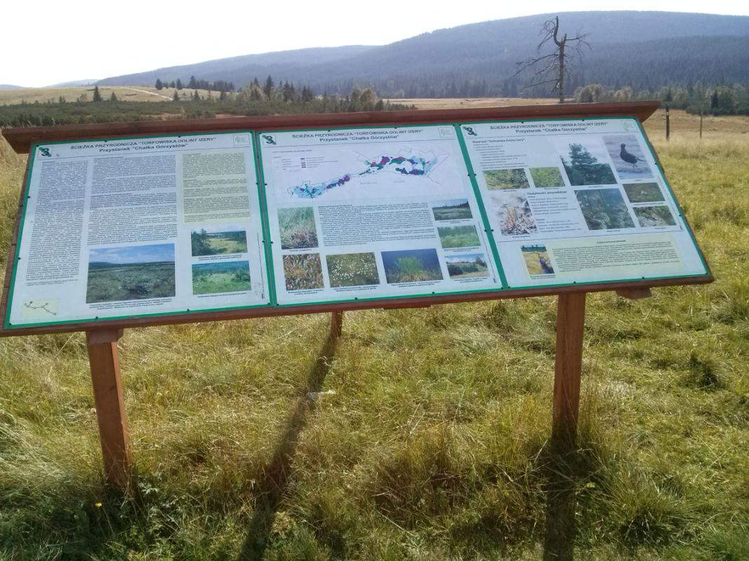 Izera Valley Peatbogs Reserve