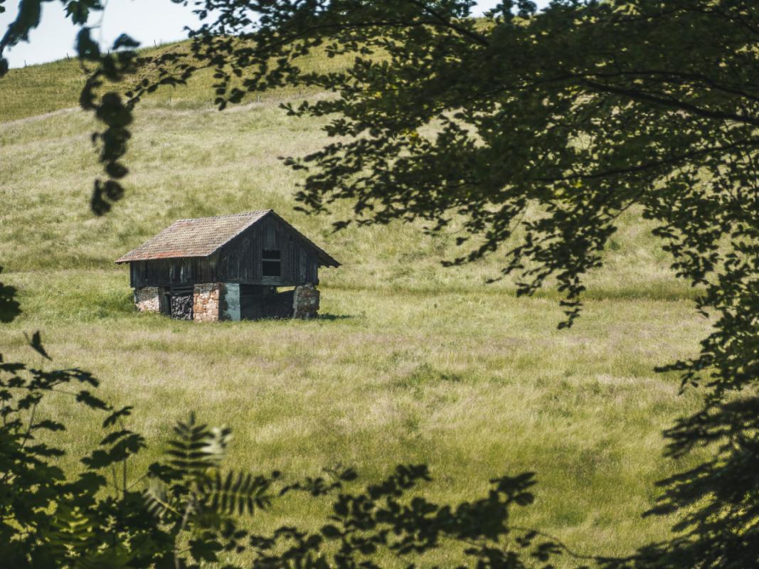 Between the meadow and the peat bog: a naturalist’s guide to the mountain huts of the Izera and Karkonosze