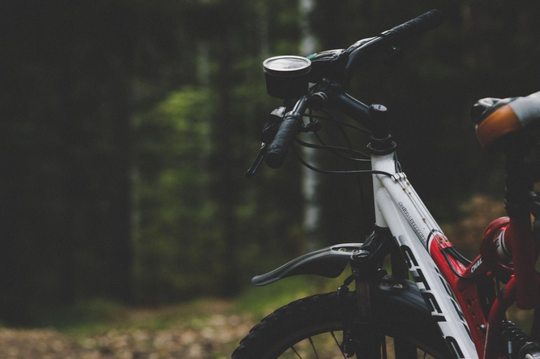 Equipment, service and setup: how to prepare your bike (and e‑bike) for Izera singles, Bike Park Świeradów and a trip to Singletrack Glacensis