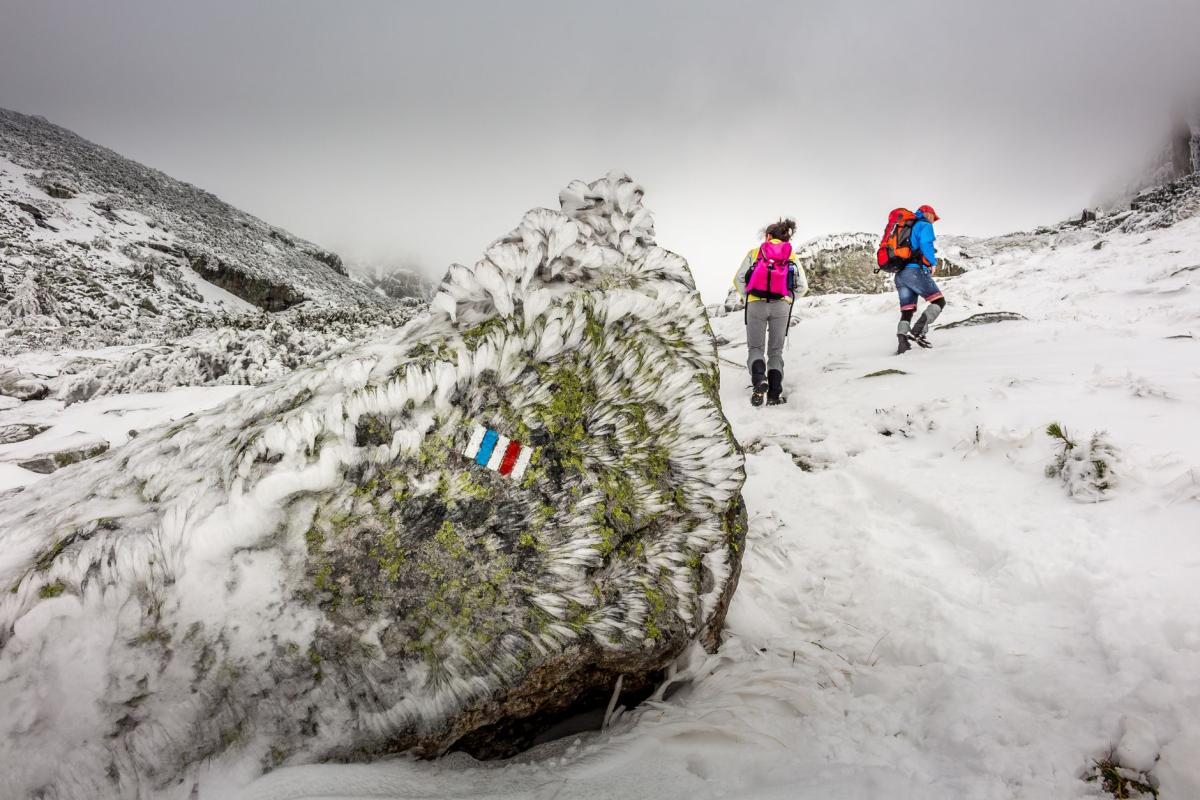Granit, bazalt i torfowiska: geotrailowy przewodnik po Izerach, Karkonoszach i czeskich Jizerských horách