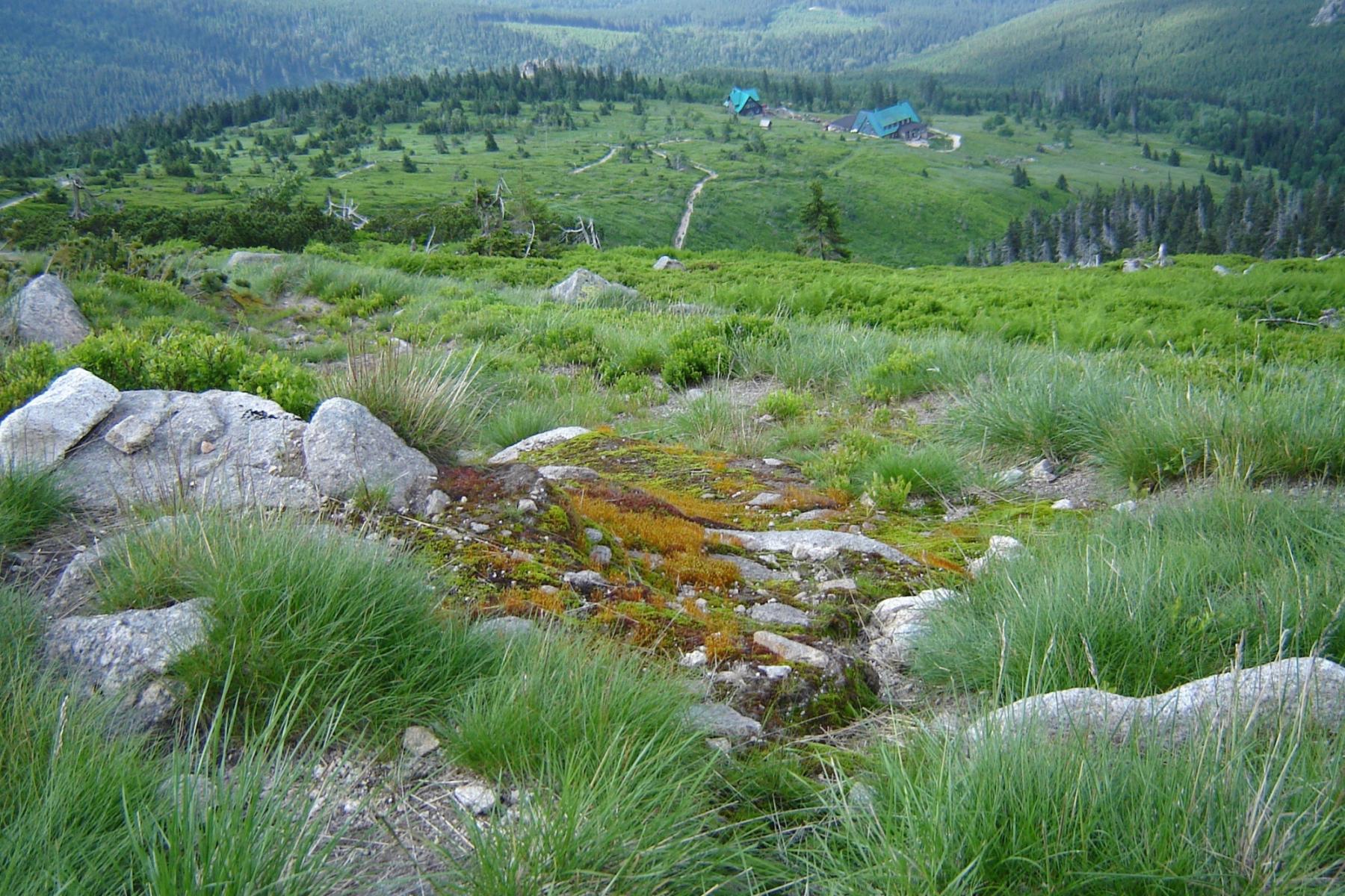PTTK Pod Łabskim Szczytem Hut