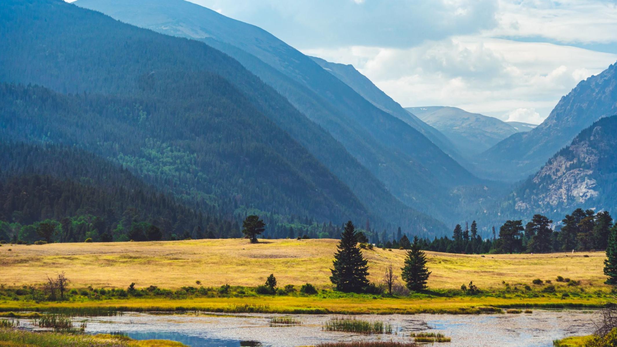 Meadows Full of Wings: Butterflies, Bumblebees and Day‑Flying Moths of the Izera and Karkonosze Mountains — an Observer’s Guide