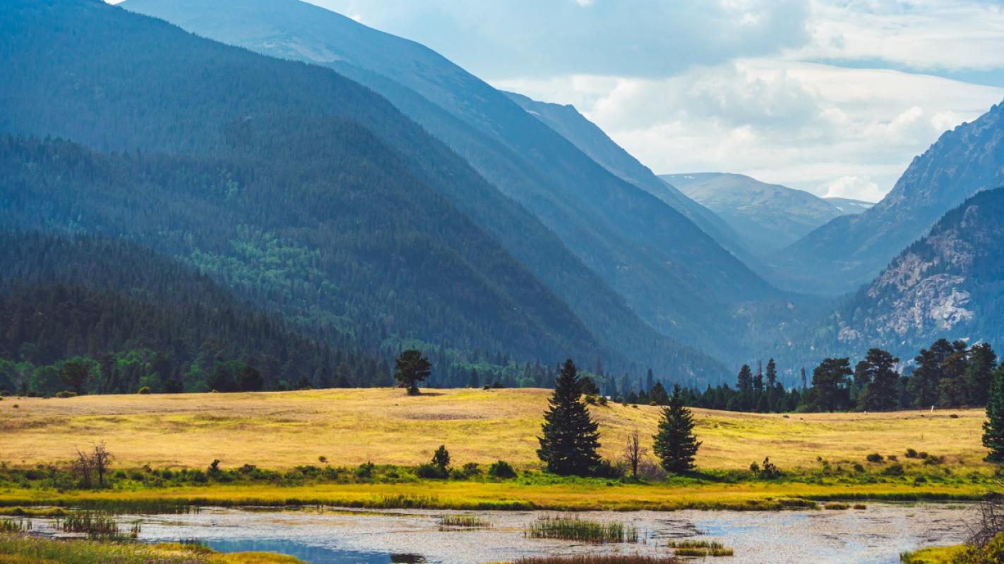 Meadows Full of Wings: Butterflies, Bumblebees and Day‑Flying Moths of the Izera and Karkonosze Mountains — an Observer’s Guide
