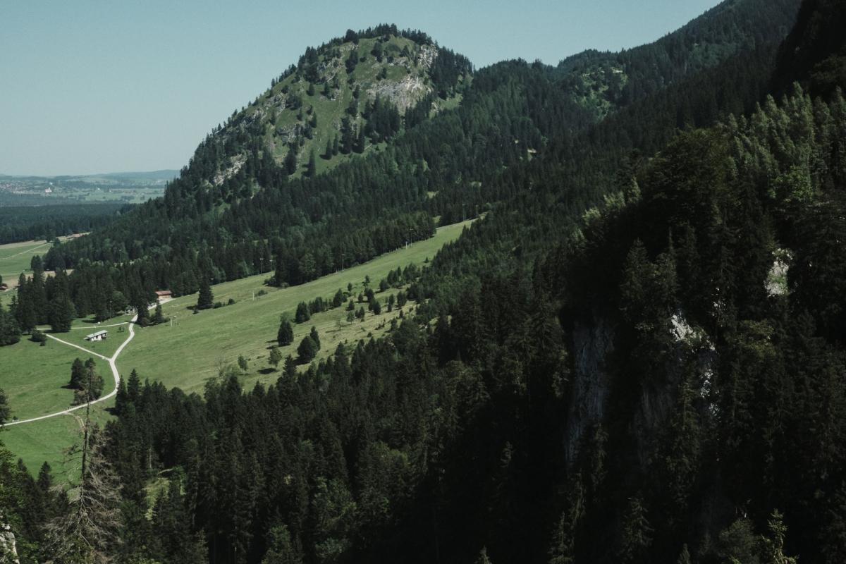 Bäume an der Grenze des Möglichen: wie Wind, Frost und nasse Böden die Wälder des Iser- und Riesengebirges formen