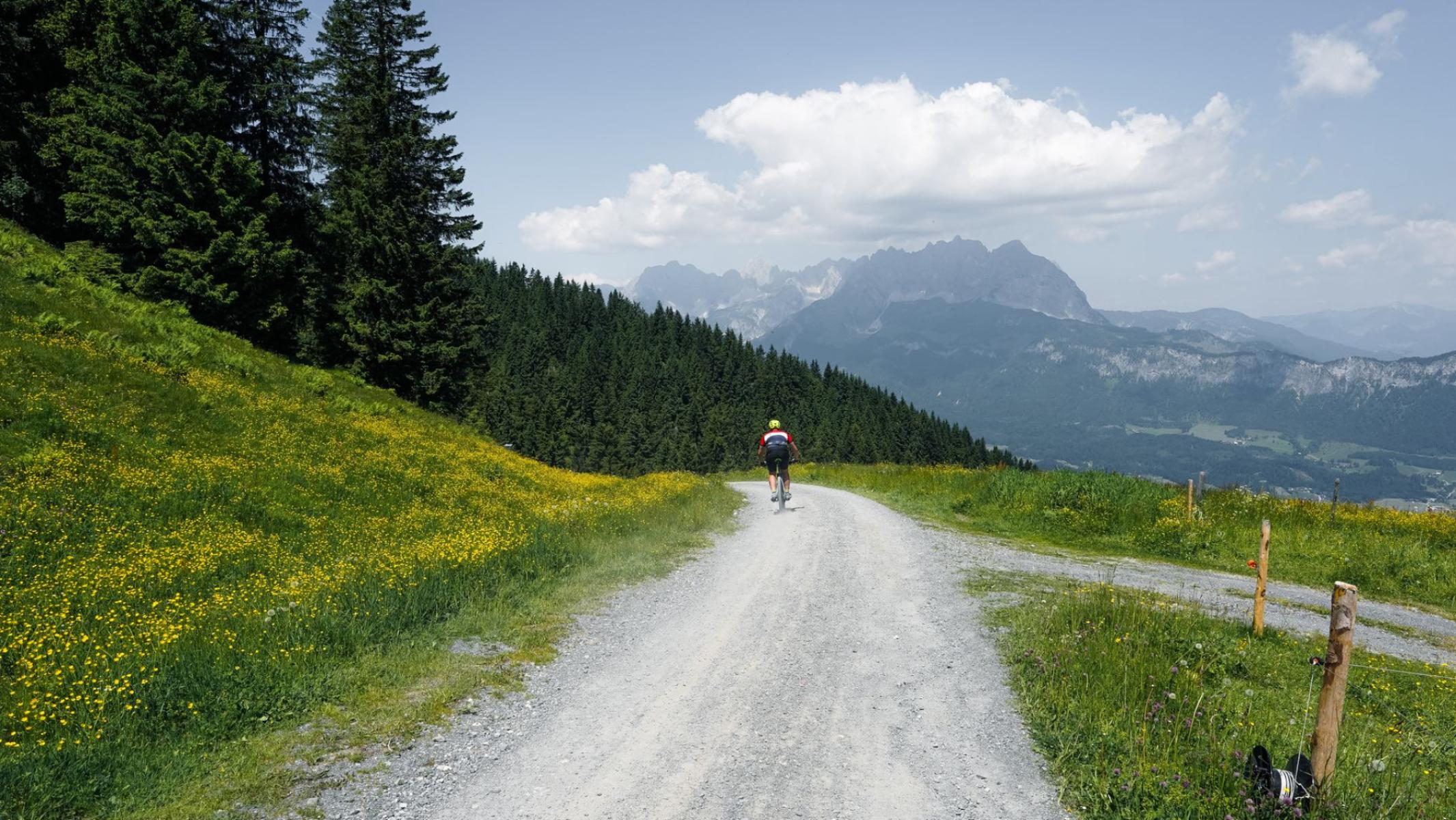 Ohne Auto, mehr Spaß: Ski, Langlauf, Singletracks und Wasser — ein sportlicher Tag ab Świeradowa‑Zdroju ohne Auto