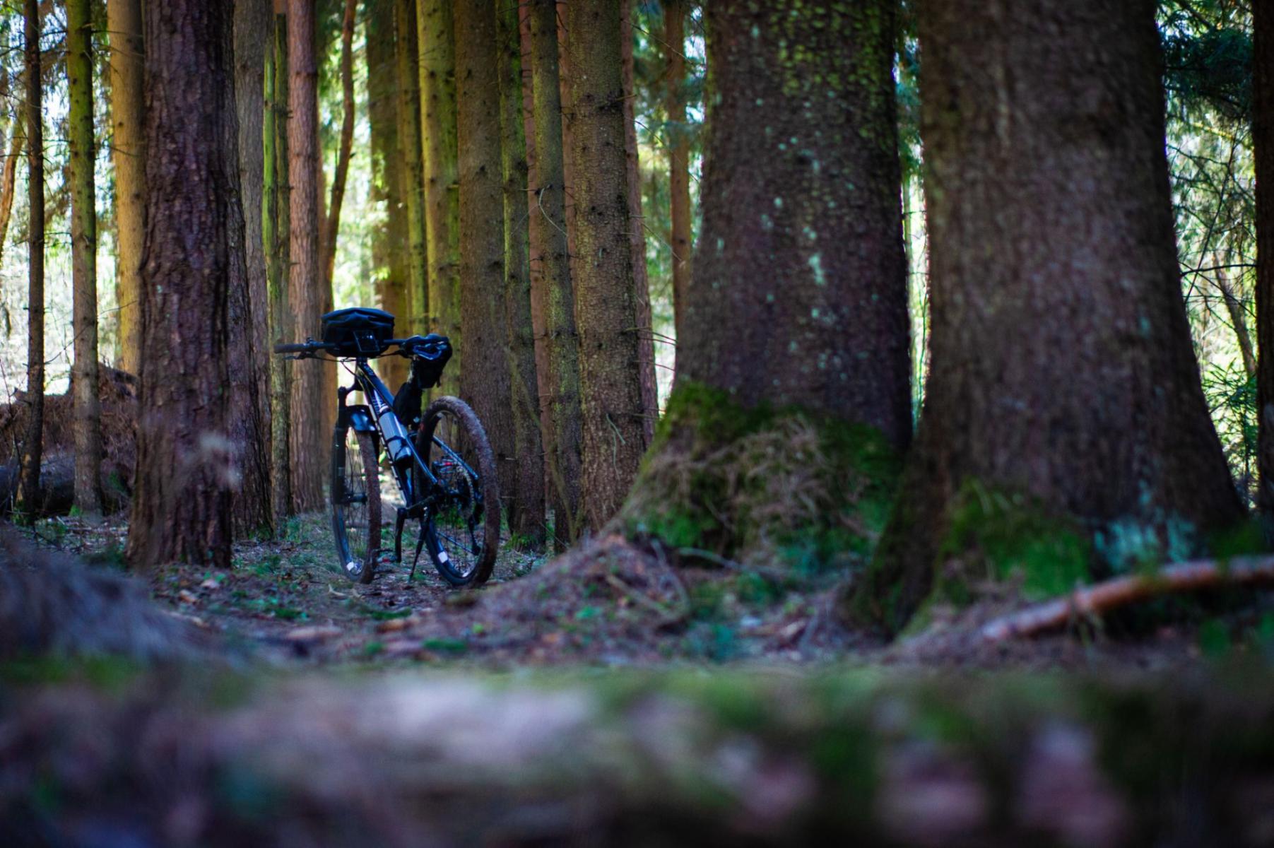 Grenzübergreifende Singletrails: Wie man auf beiden Seiten der Grenze fährt — Vorschriften, Beschilderung und Gebräuche von Świeradów bis zum tschechischen Jizerské hory