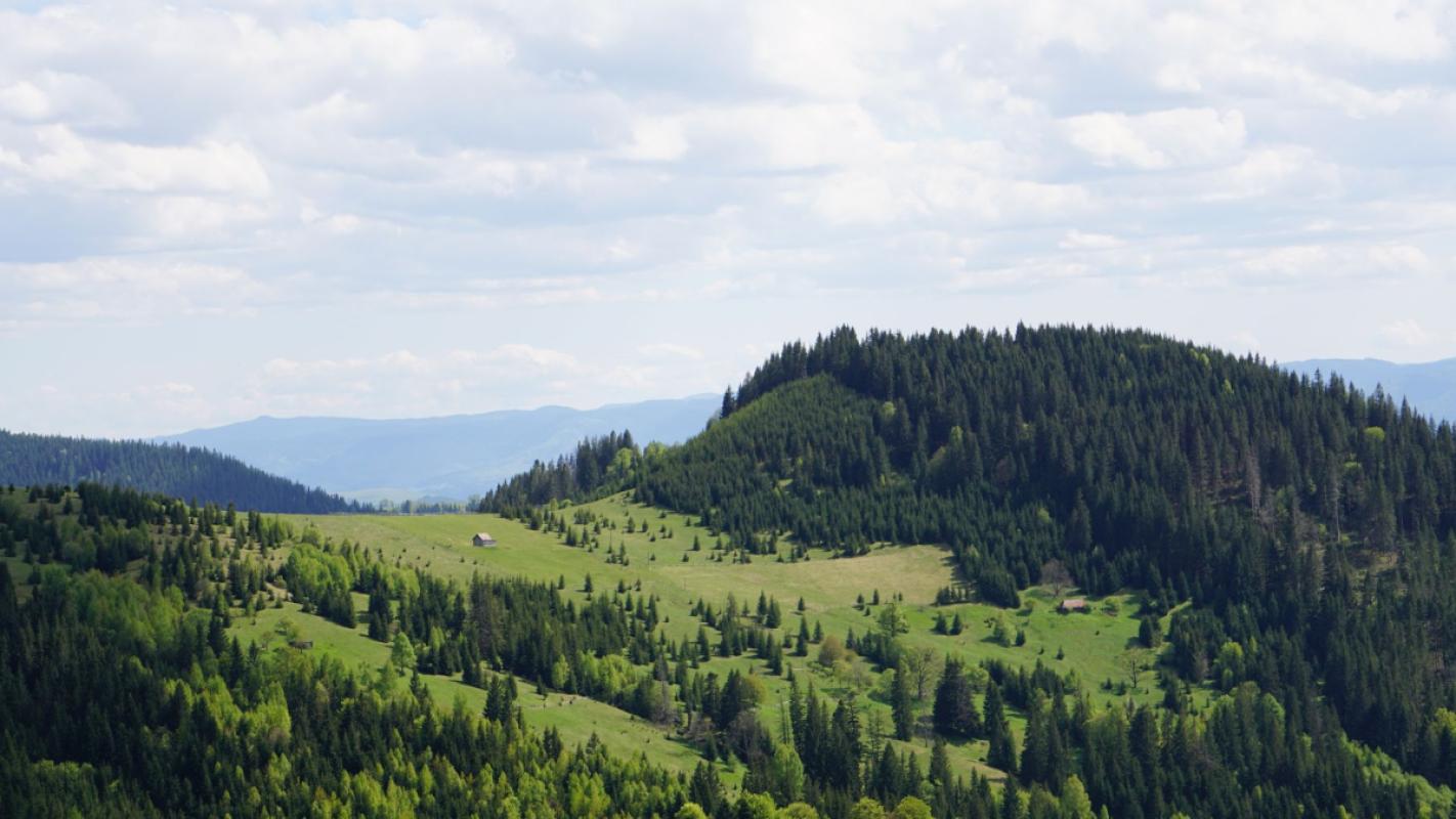 Drei Währungen, ein Tag: So bezahlen Sie rund um Świeradów-Zdrój stressfrei