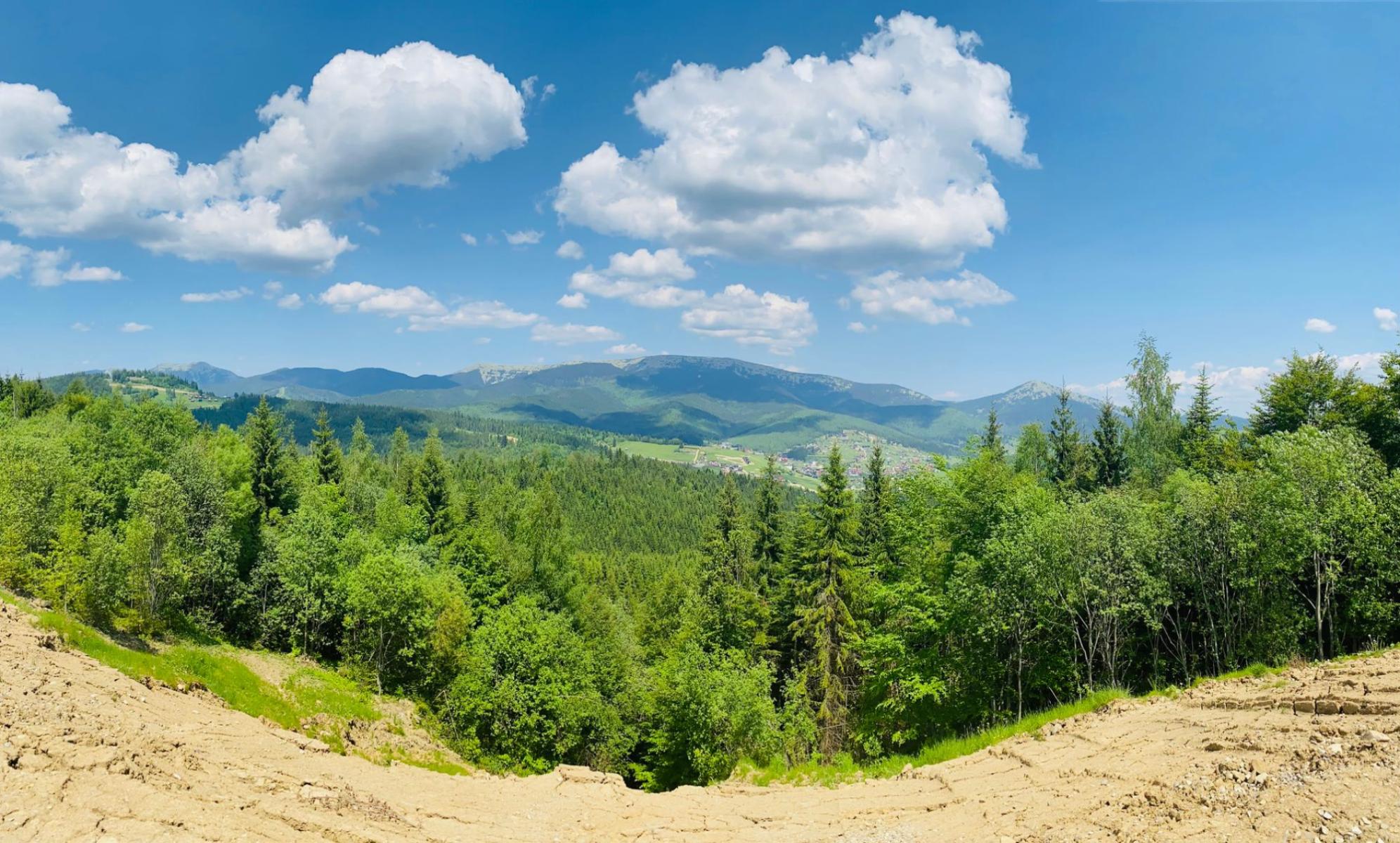 The Izera Mountains Under the Lens: How to Read Invertebrates Without Disturbing Nature