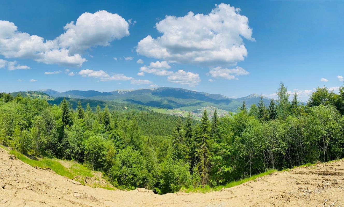 The Izera Mountains Under the Lens: How to Read Invertebrates Without Disturbing Nature