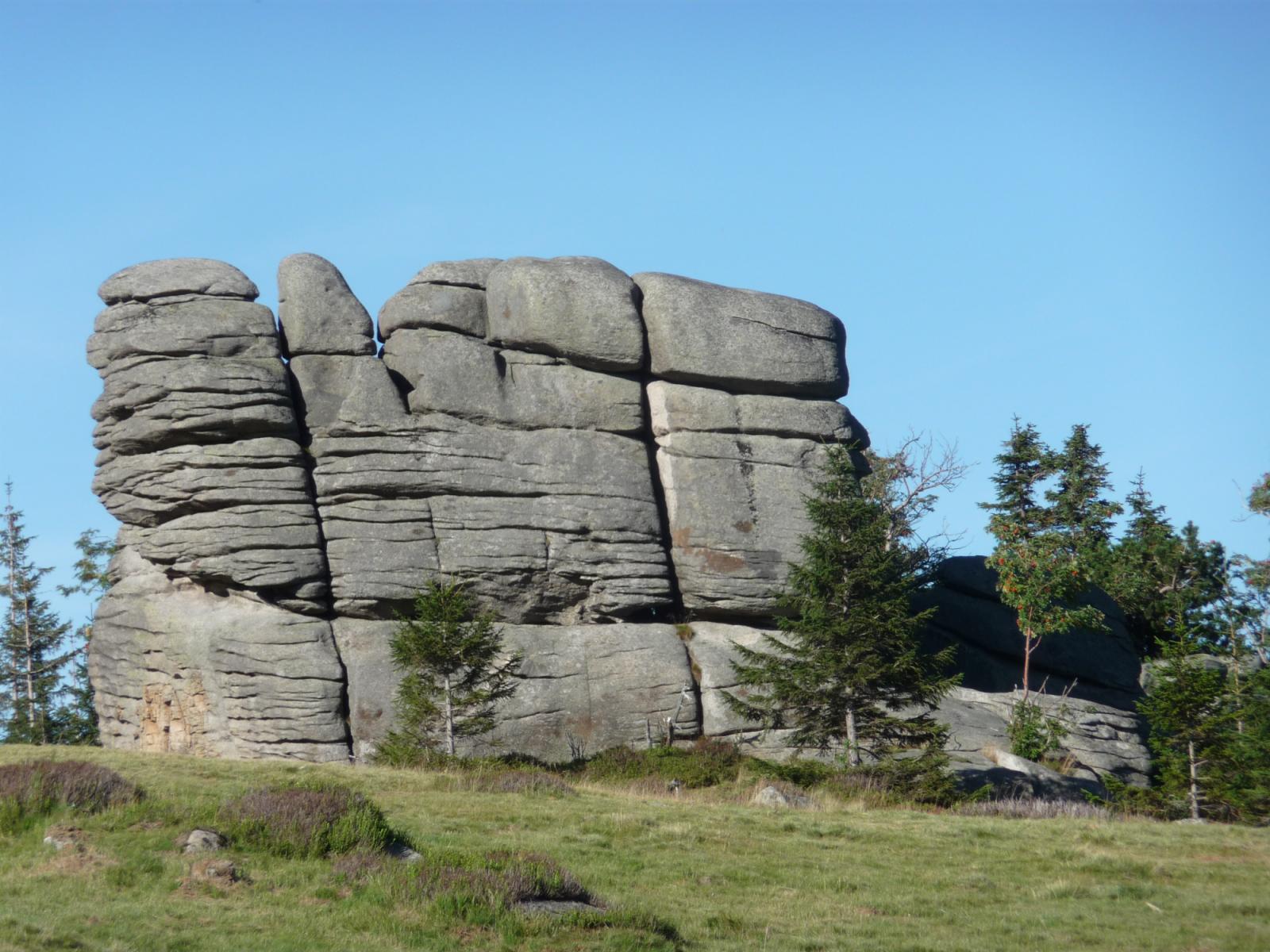 Słonecznik Rock