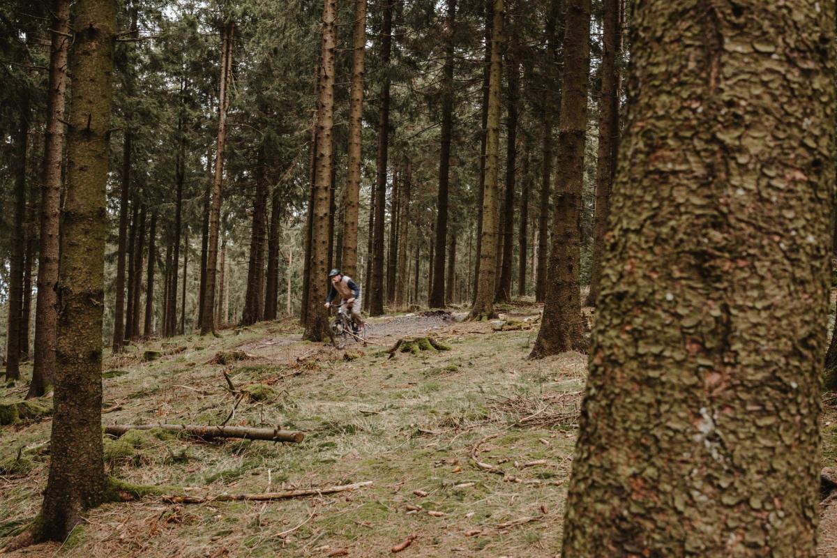 A Place to Stay That Understands Bikes: How to Choose a Truly Bike-Friendly Base in Świeradów-Zdrój