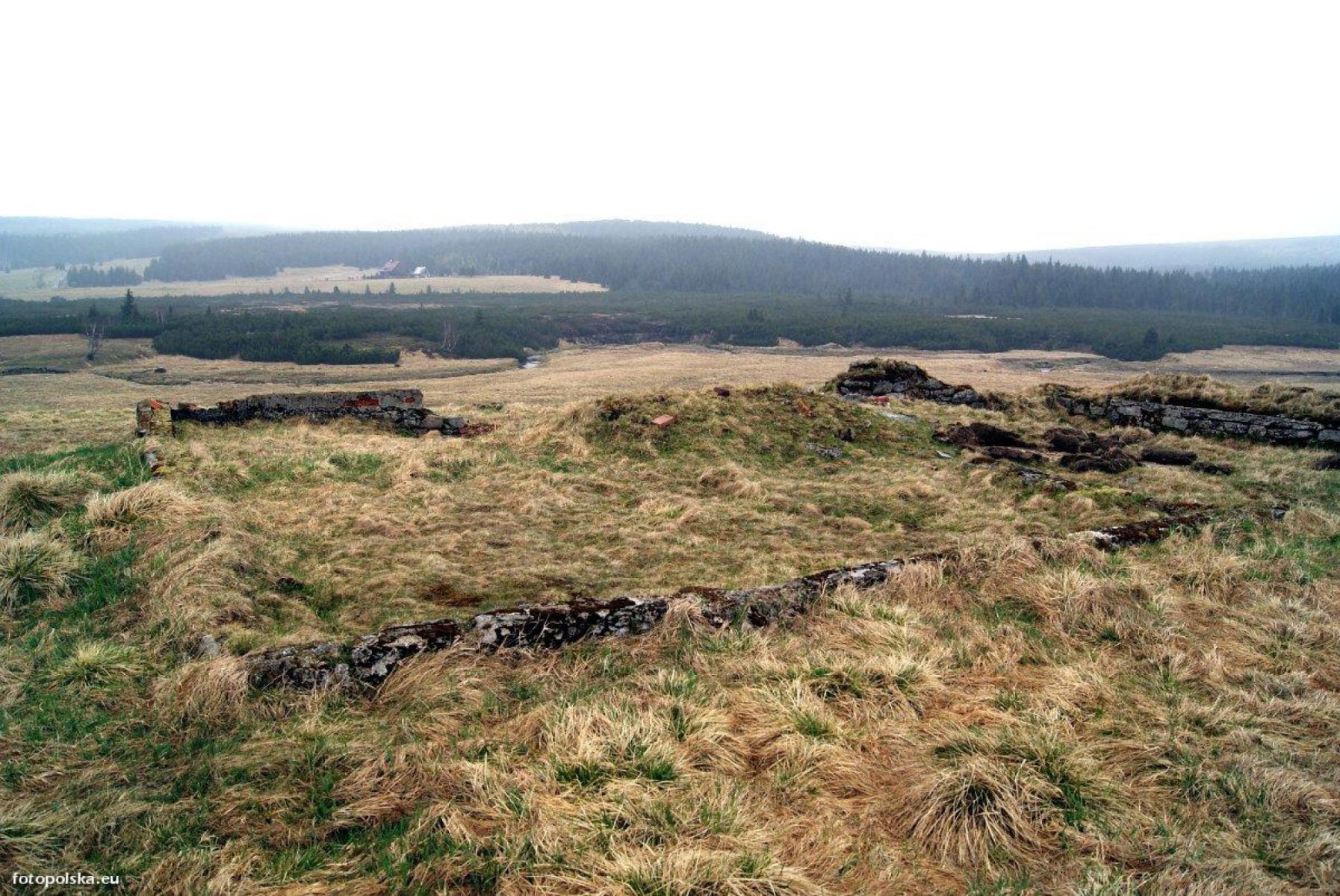 Hala Izerska (Izera Meadow)