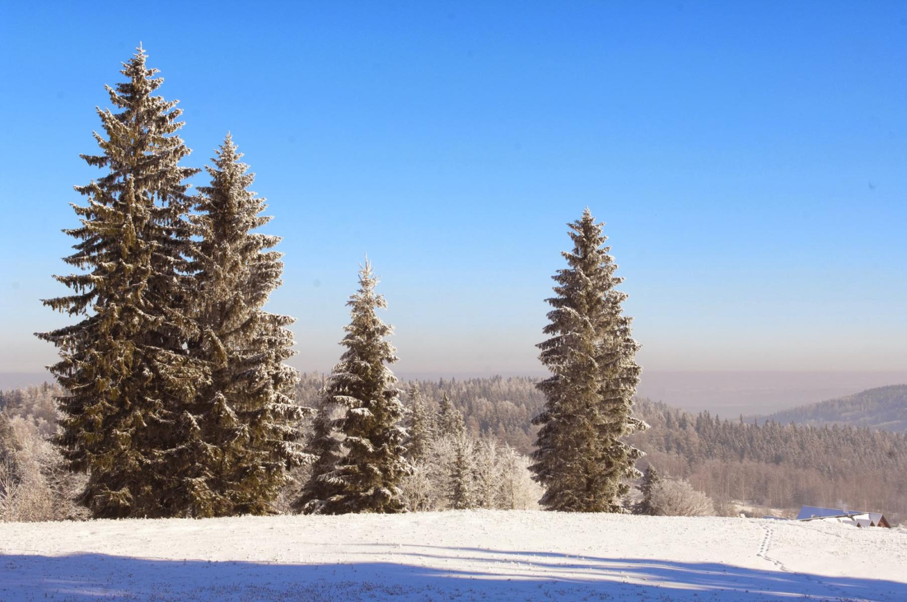 Stóg Izerski Ski Resort