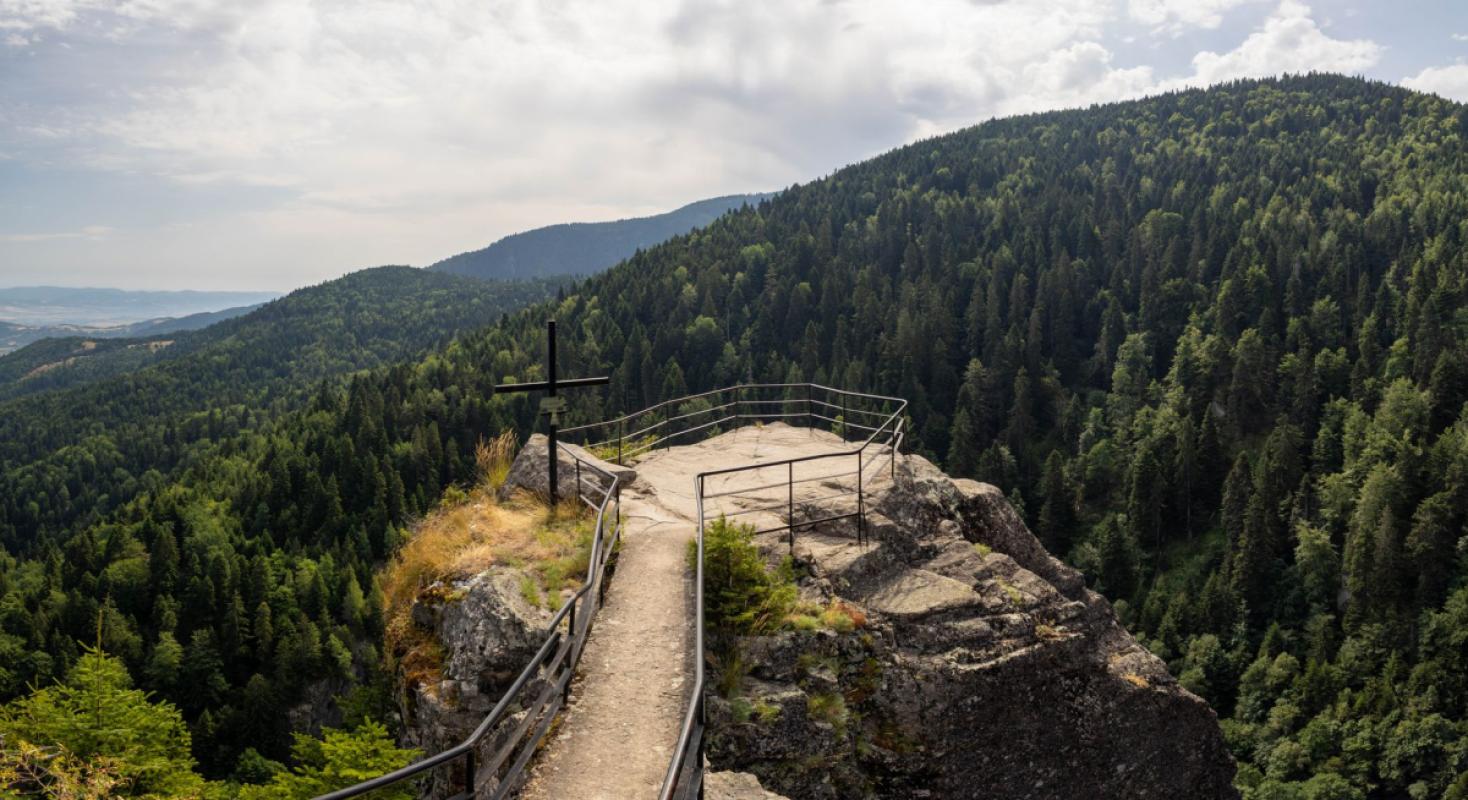 Świeradów-Zdrój at a Light-Footed Pace: A Guide to Trail Running and Power Hiking in the Izera Mountains