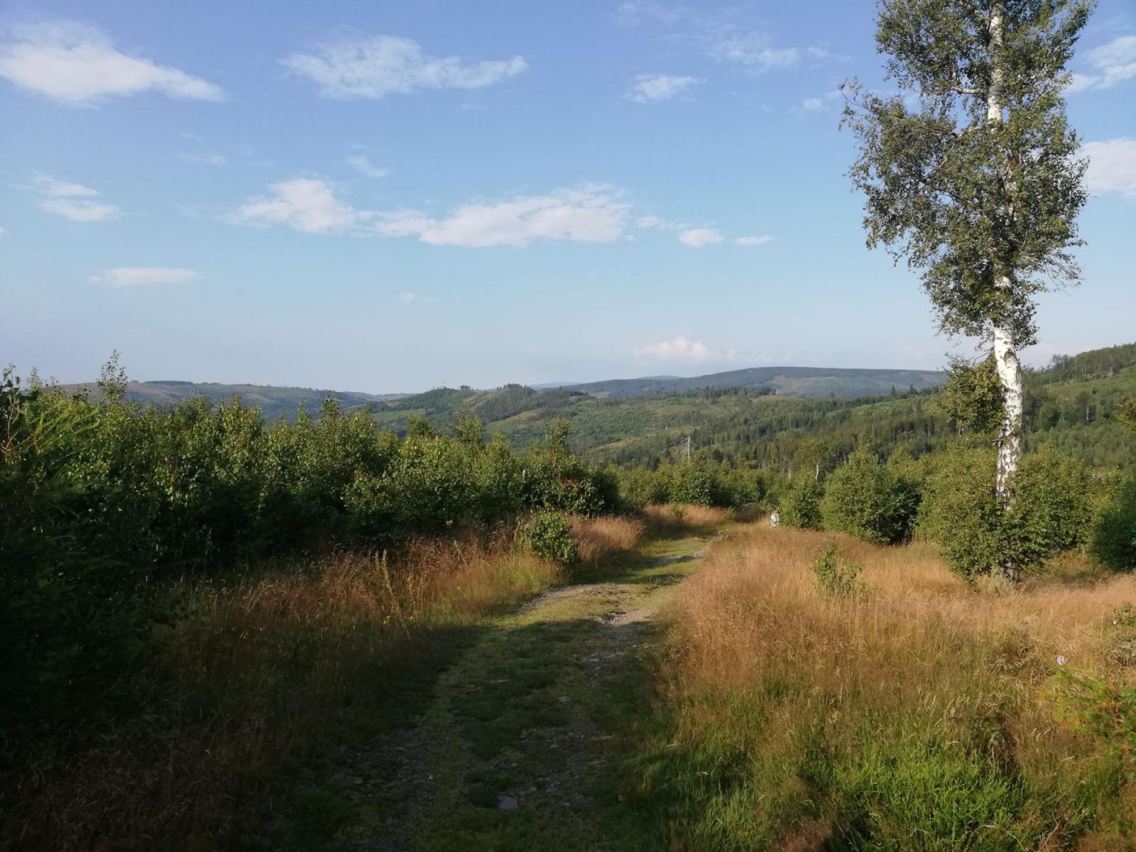 Świeradów-Zdrój lehkým krokem: průvodce trail runningem a power hikingem v Jizerských horách