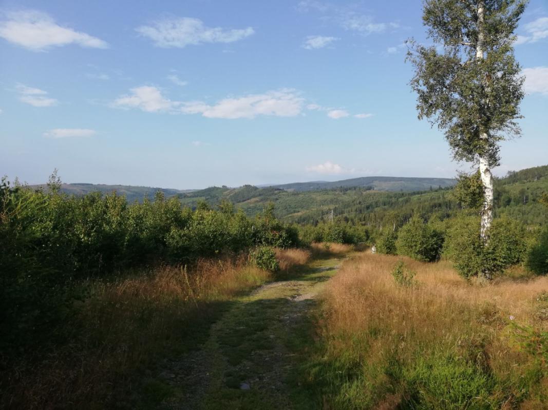Świeradów-Zdrój lehkým krokem: průvodce trail runningem a power hikingem v Jizerských horách
