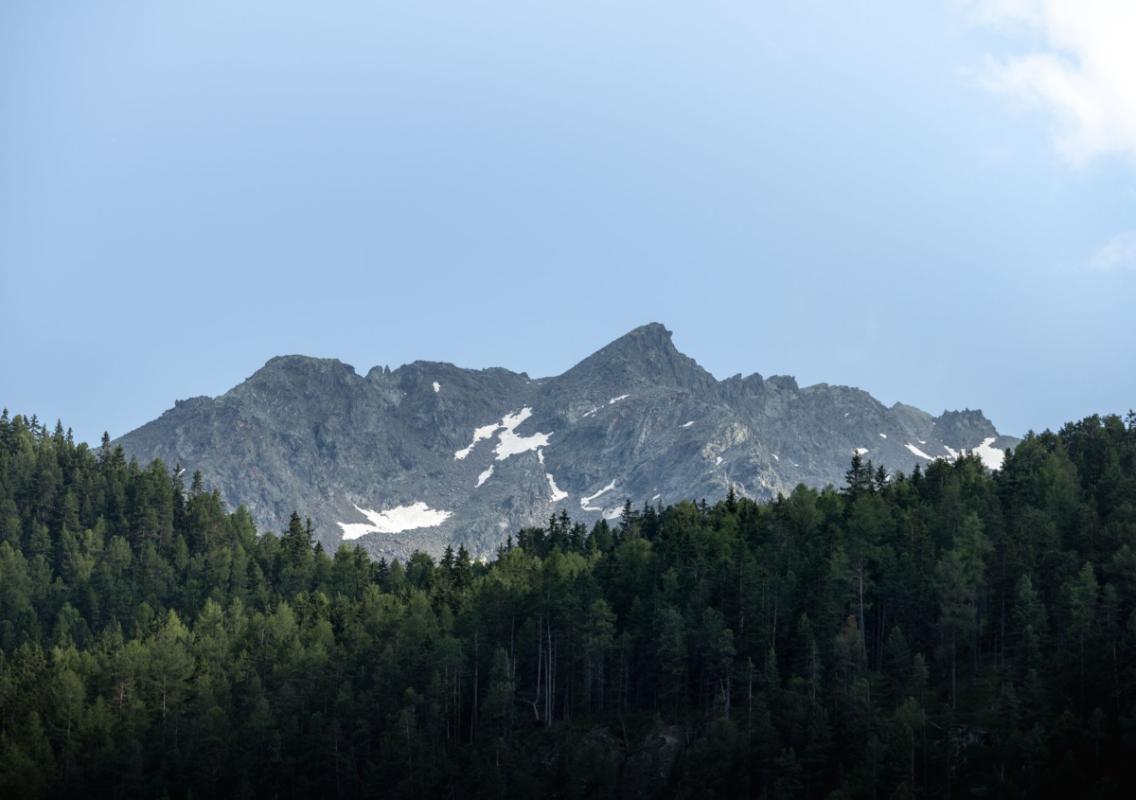 Die Berge enden nicht an der Grenze. Ökologische Korridore rund um Świeradów-Zdrój
