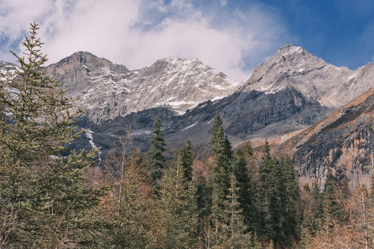 What May You Pick in the Mountains? Berries, Herbs and the Boundaries of Responsible Observation in the Jizera Mountains and the Giant Mountains