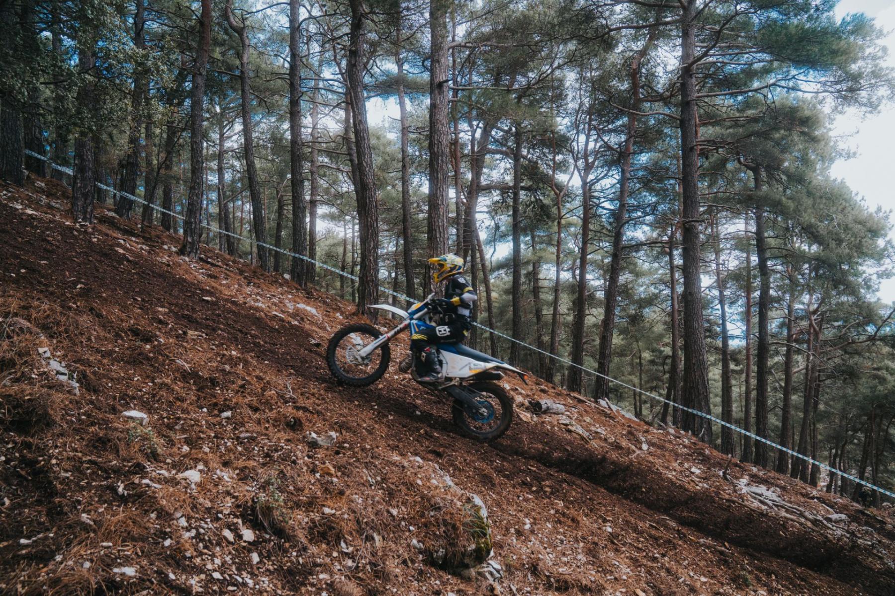Natürliches Enduro in Świeradów-Zdrój: Wie man den Sępia Góra abseits des Bikeparks liest
