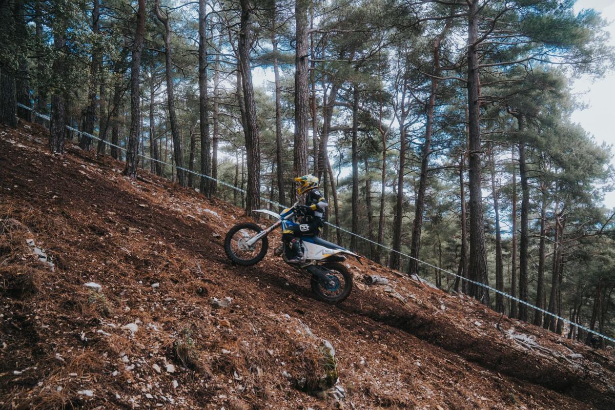 Natürliches Enduro in Świeradów-Zdrój: Wie man den Sępia Góra abseits des Bikeparks liest