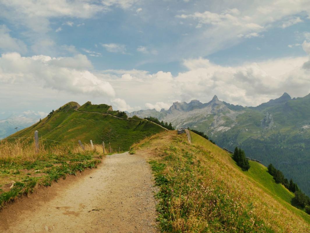 Drei Gesichter des Isergebirges: Wälder, Bergweiden und Moore rund um Świeradów-Zdrój